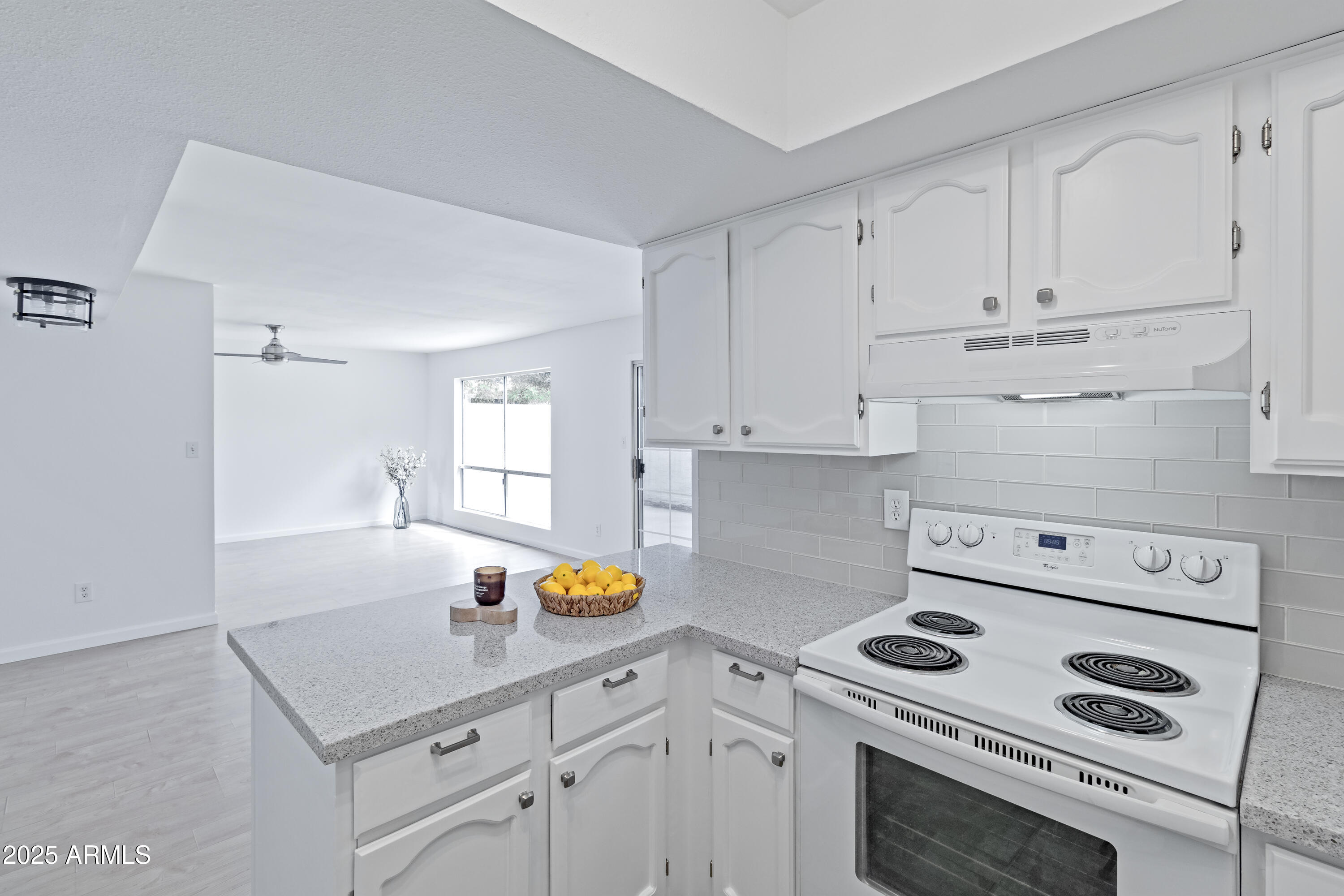 1051 S DOBSON Road 165