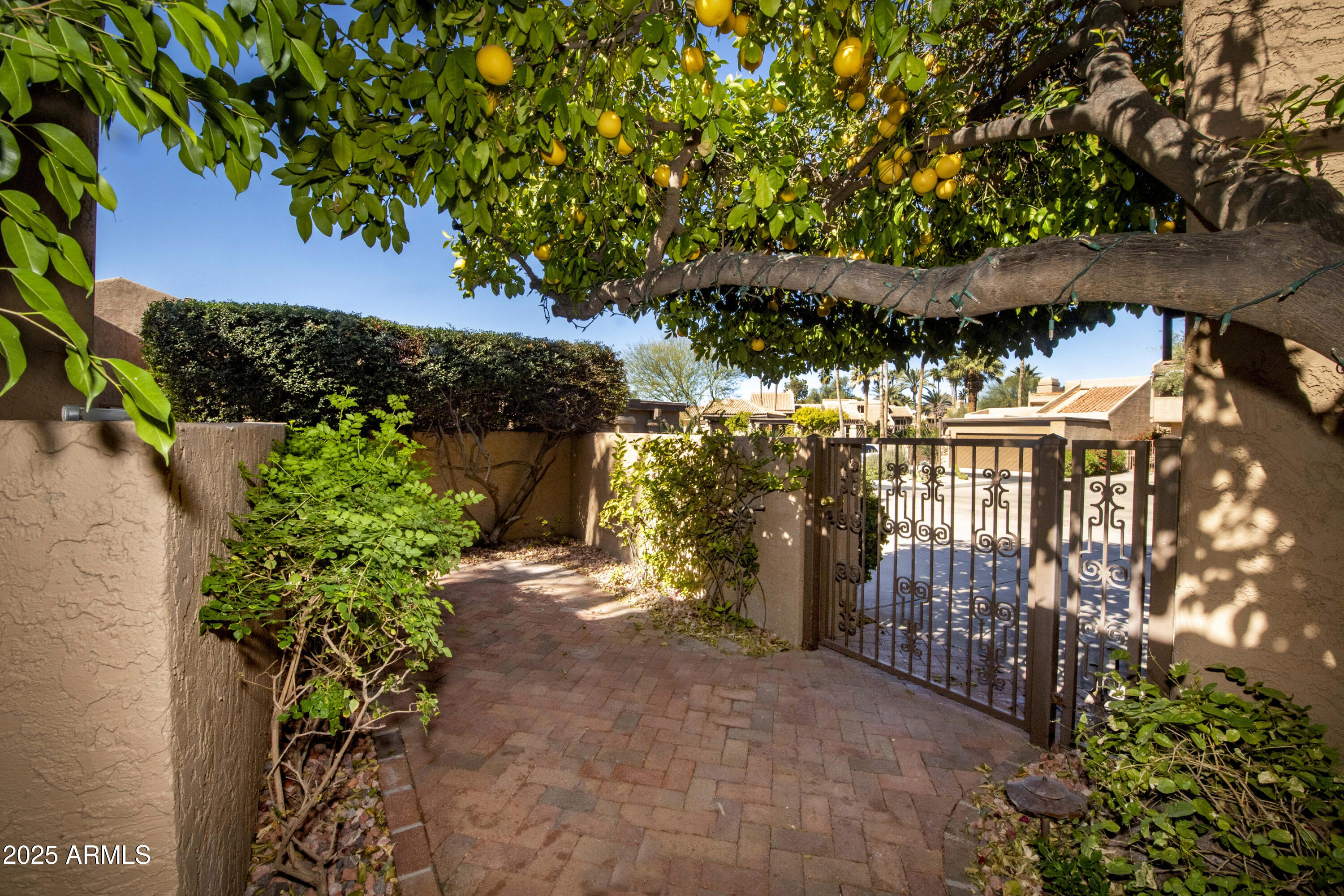 4446 E Camelback Road Unit 109