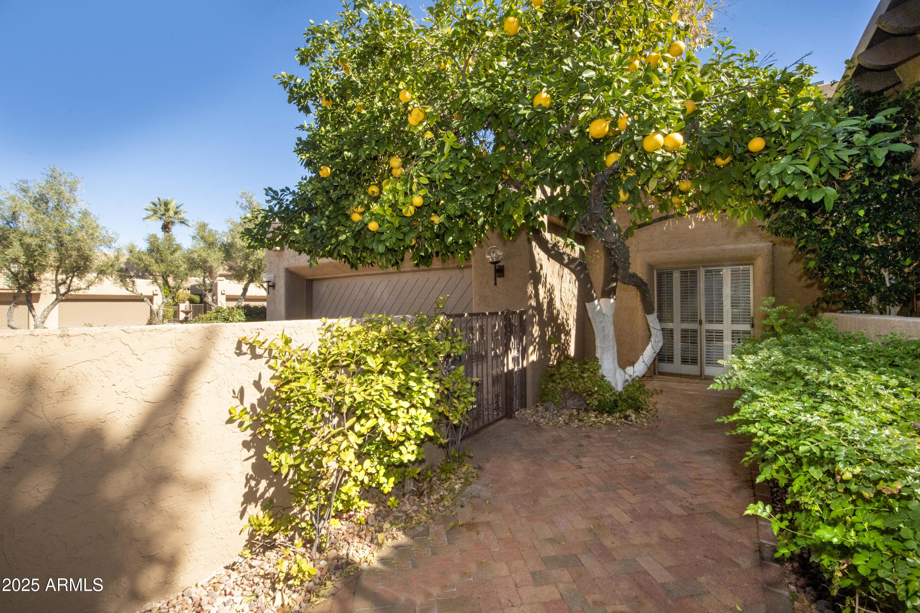 4446 E Camelback Road Unit 109