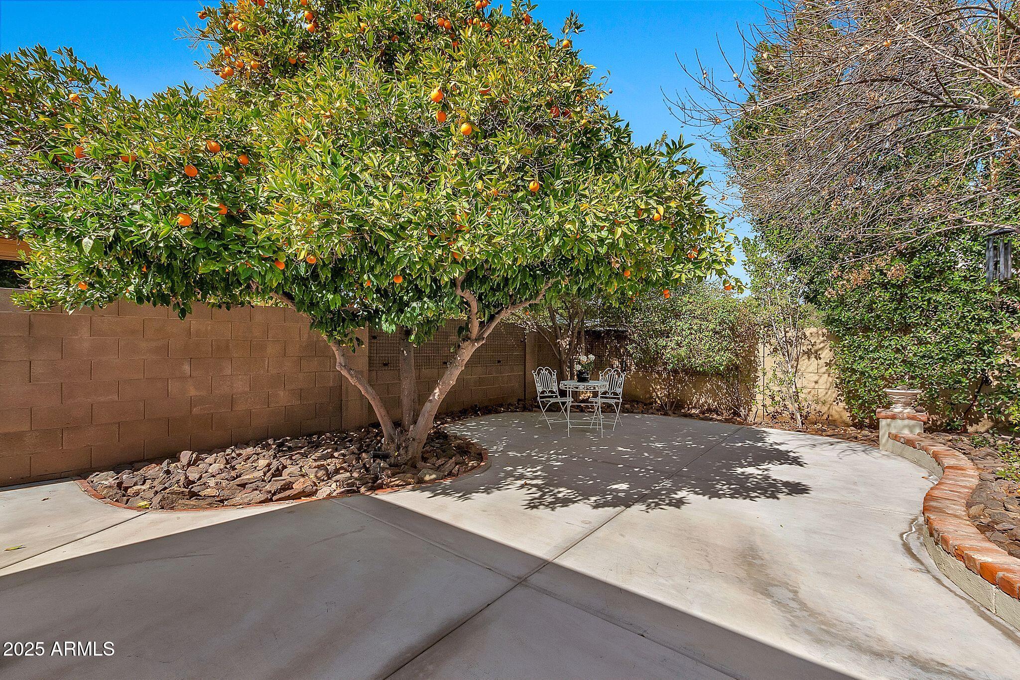 1134 E Magdalena Drive