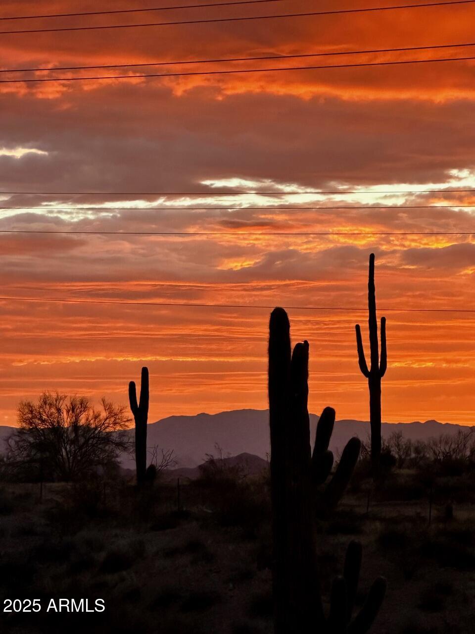 10401 N SAGUARO Boulevard 104