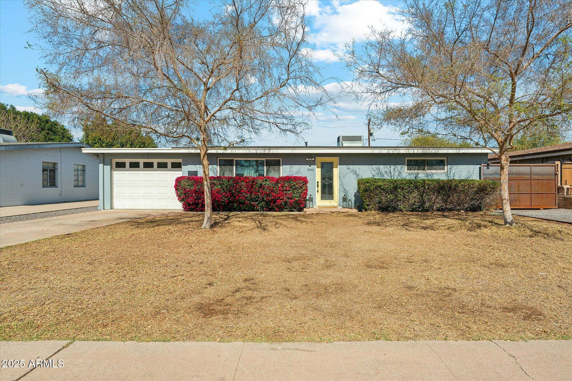 2540 E AMELIA Avenue