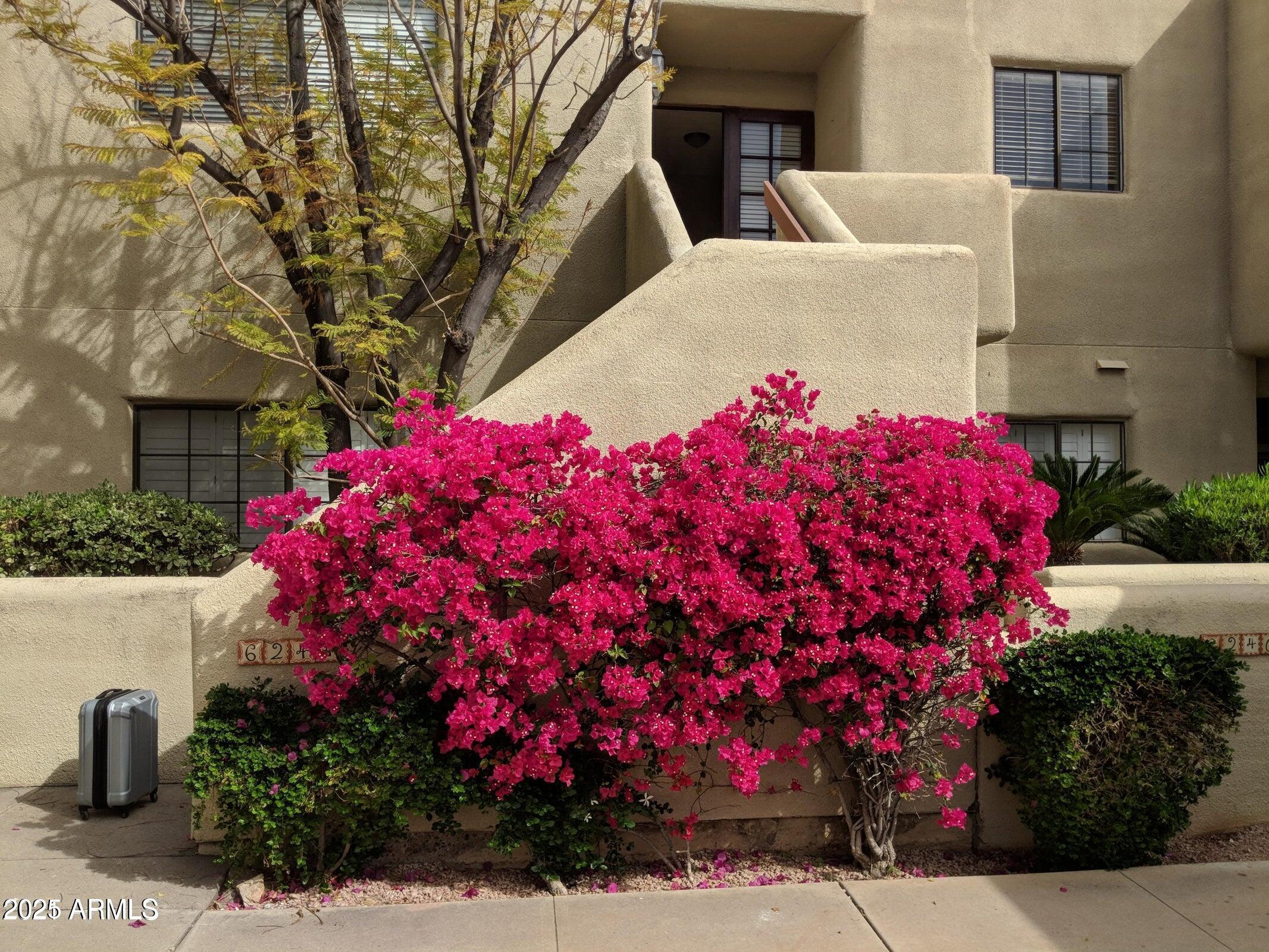 6244 N 30TH Place