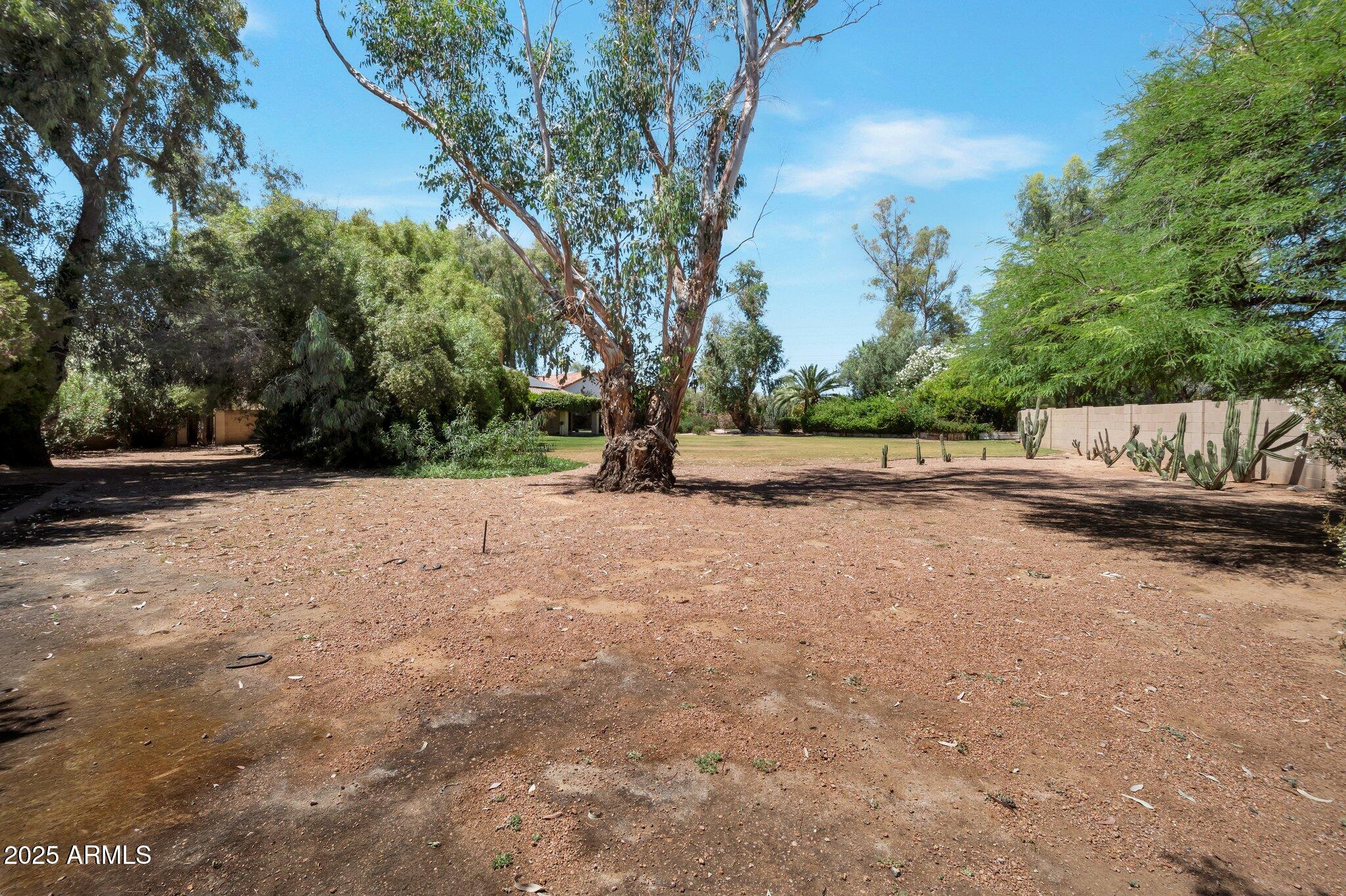 8637 E APPALOOSA Trail