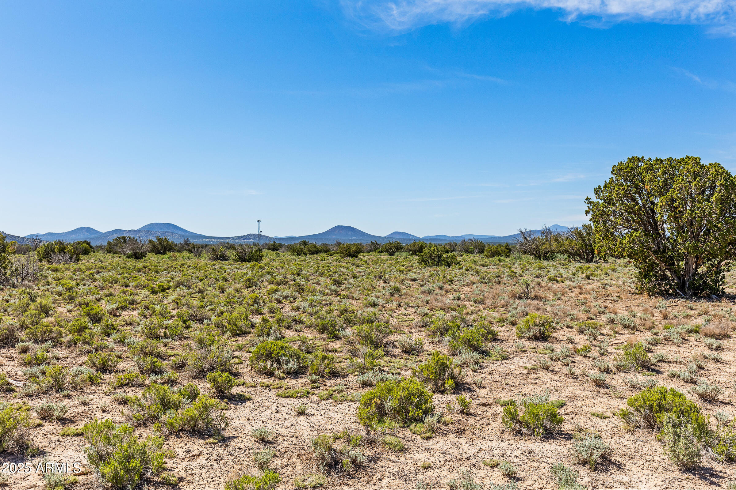 2684 W CRITTER PASS 9