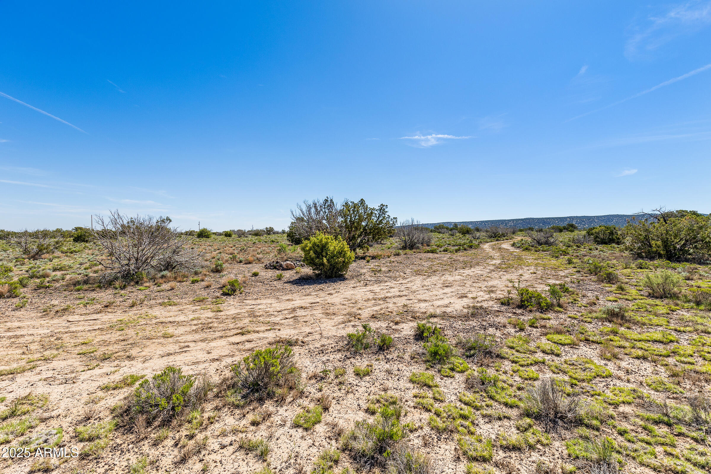 2684 W CRITTER PASS 9