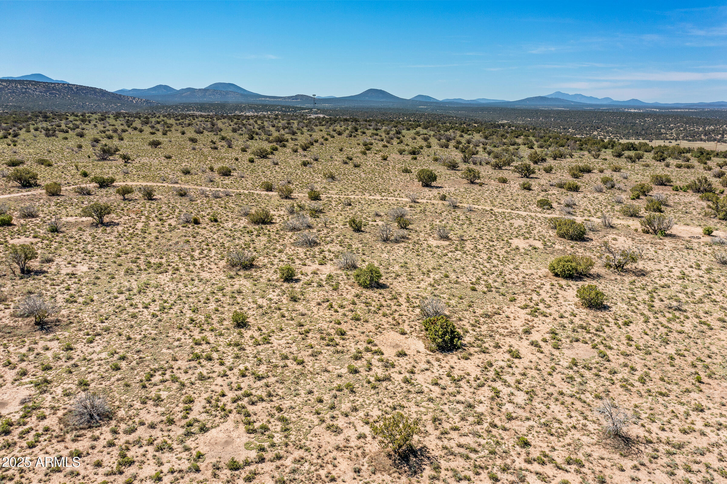 2684 W CRITTER PASS 9