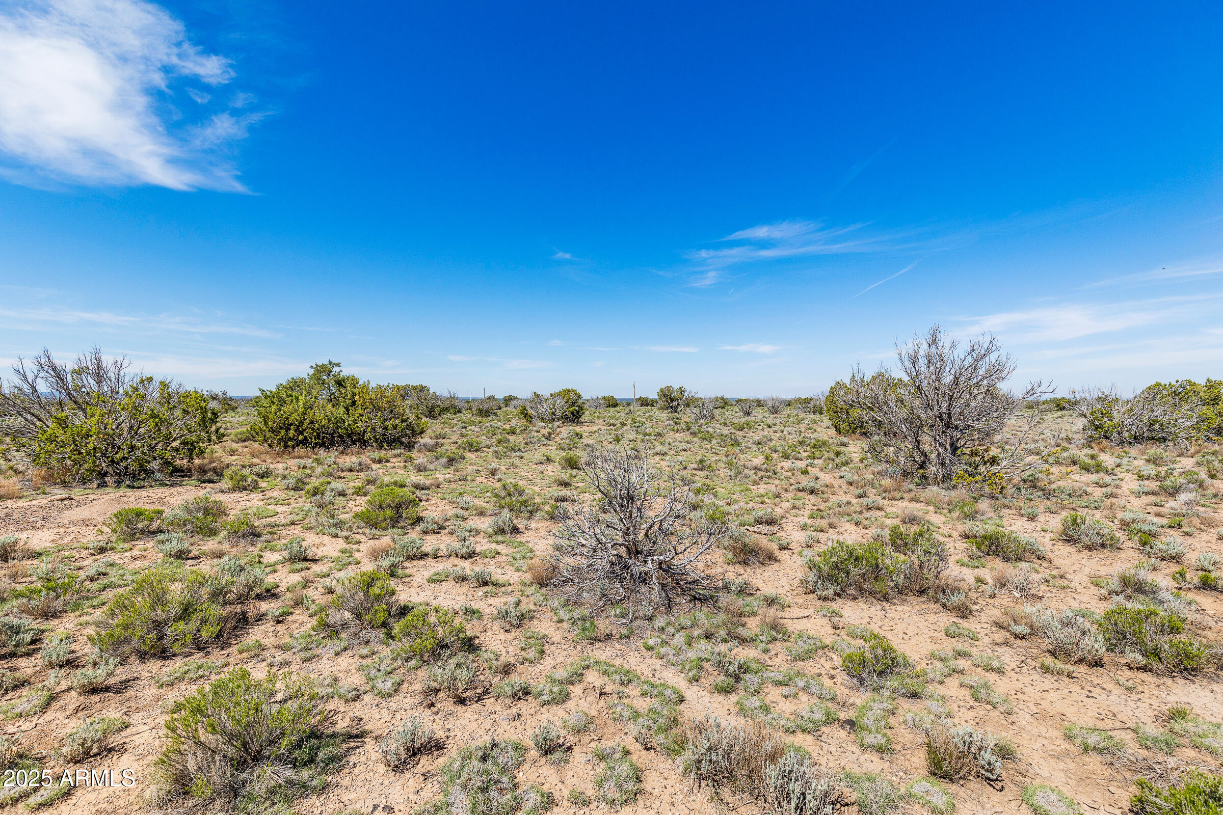 2684 W CRITTER PASS 9