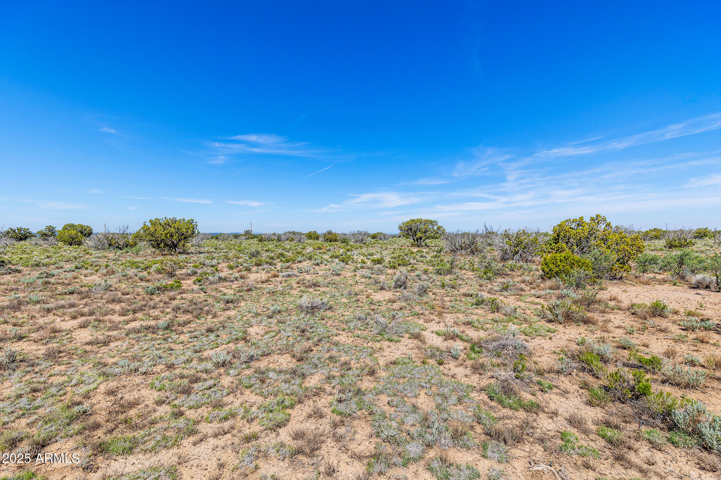 2684 W CRITTER PASS 9