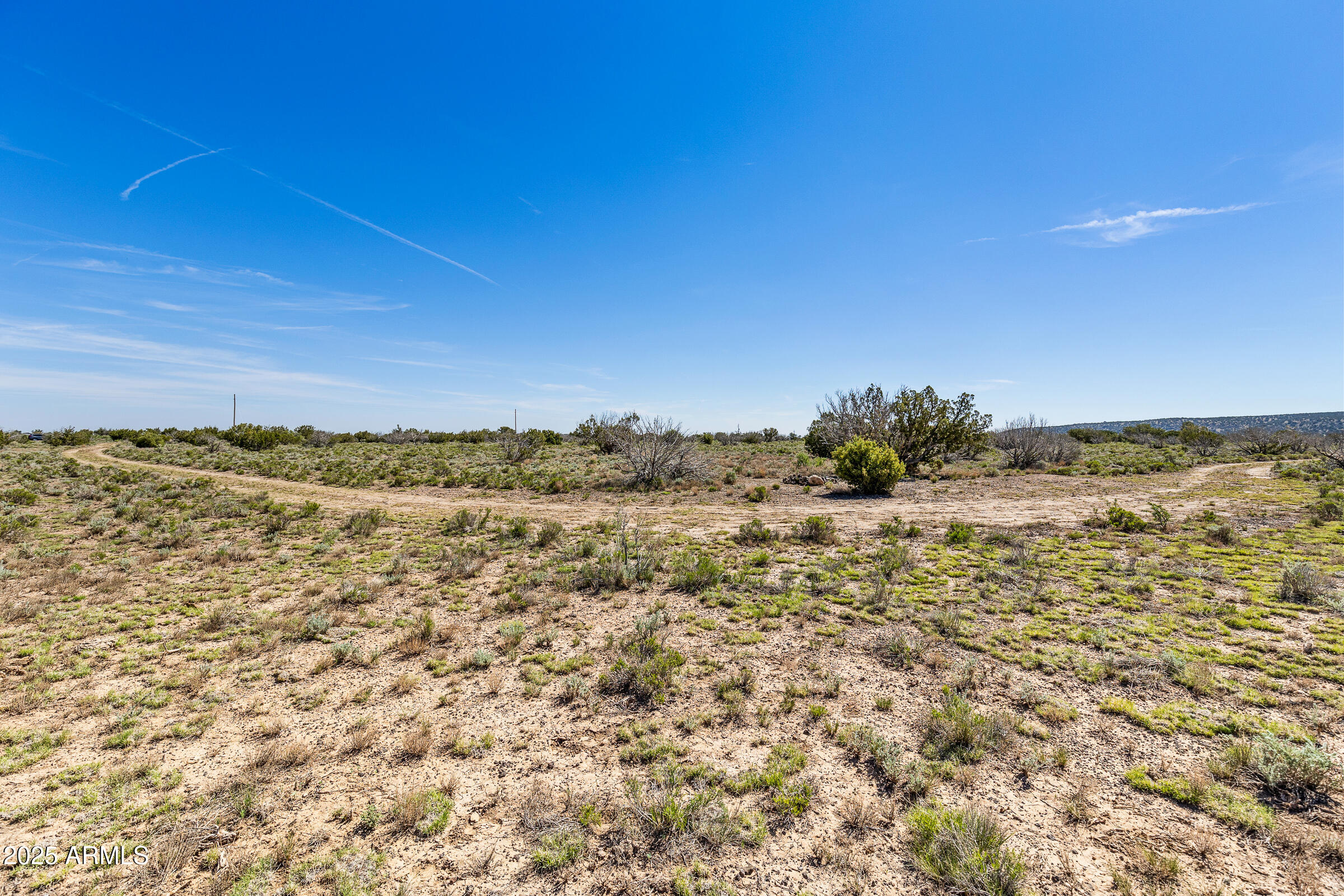2684 W CRITTER PASS 9