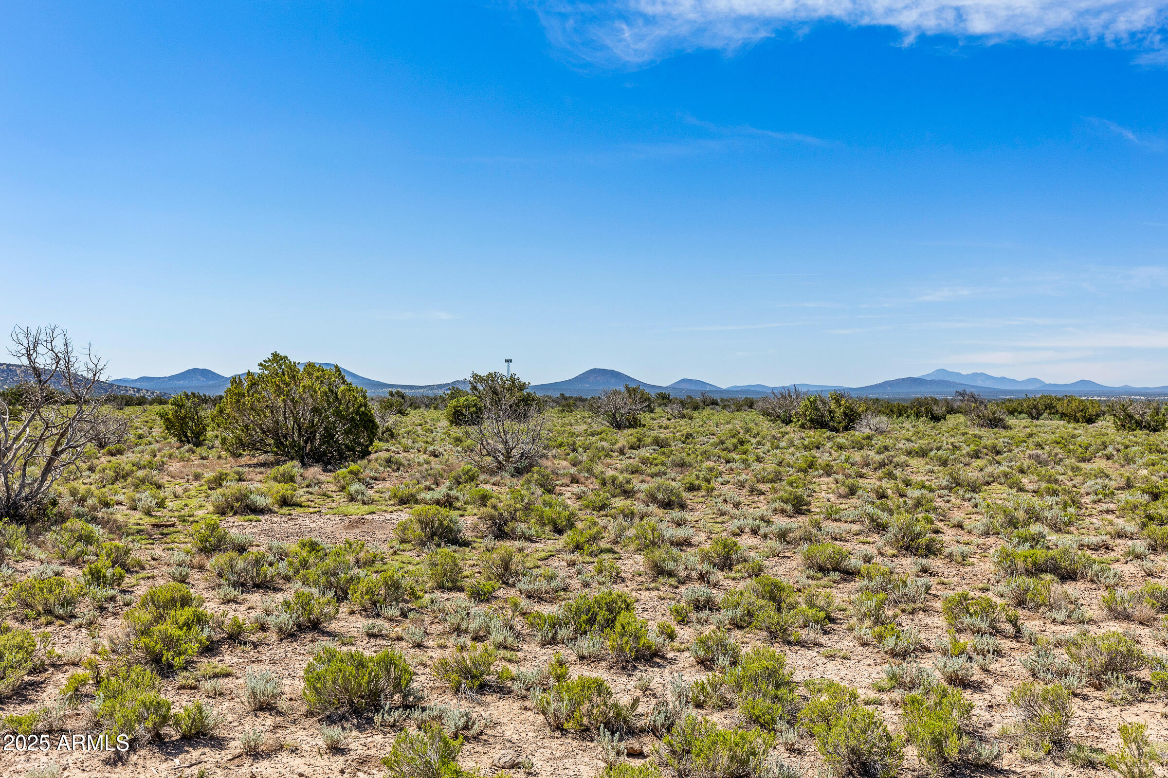 2684 W CRITTER PASS 9
