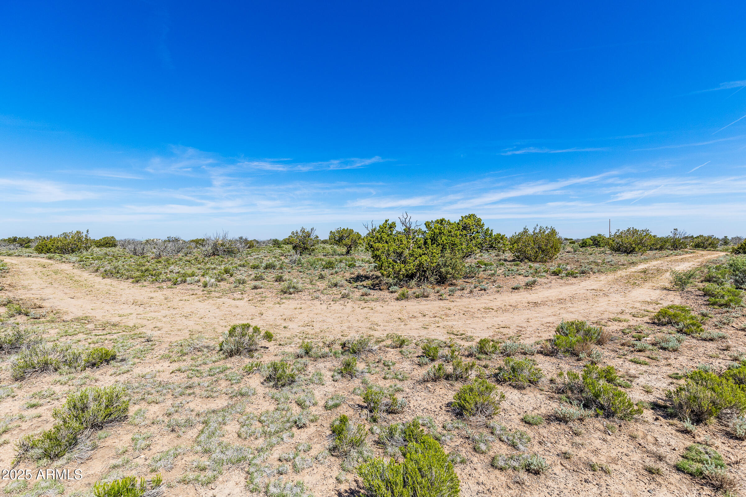 2684 W CRITTER PASS 9