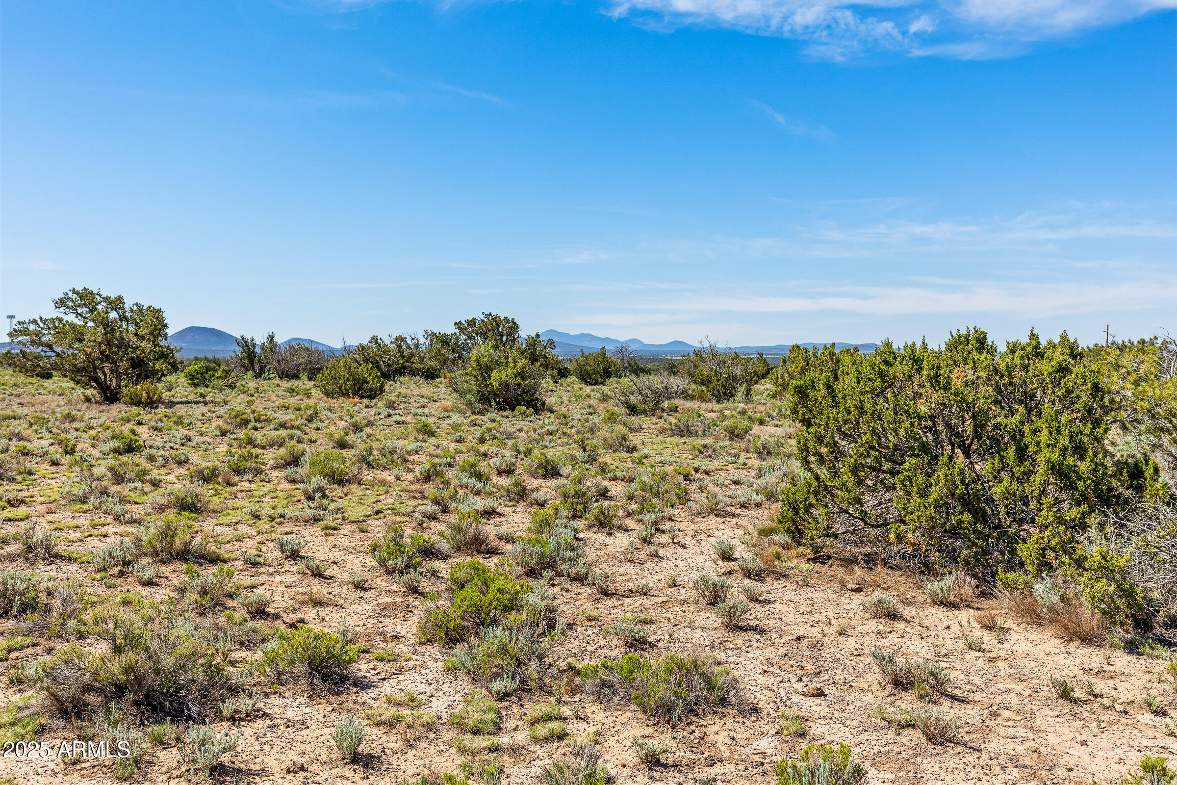 2684 W CRITTER PASS 9