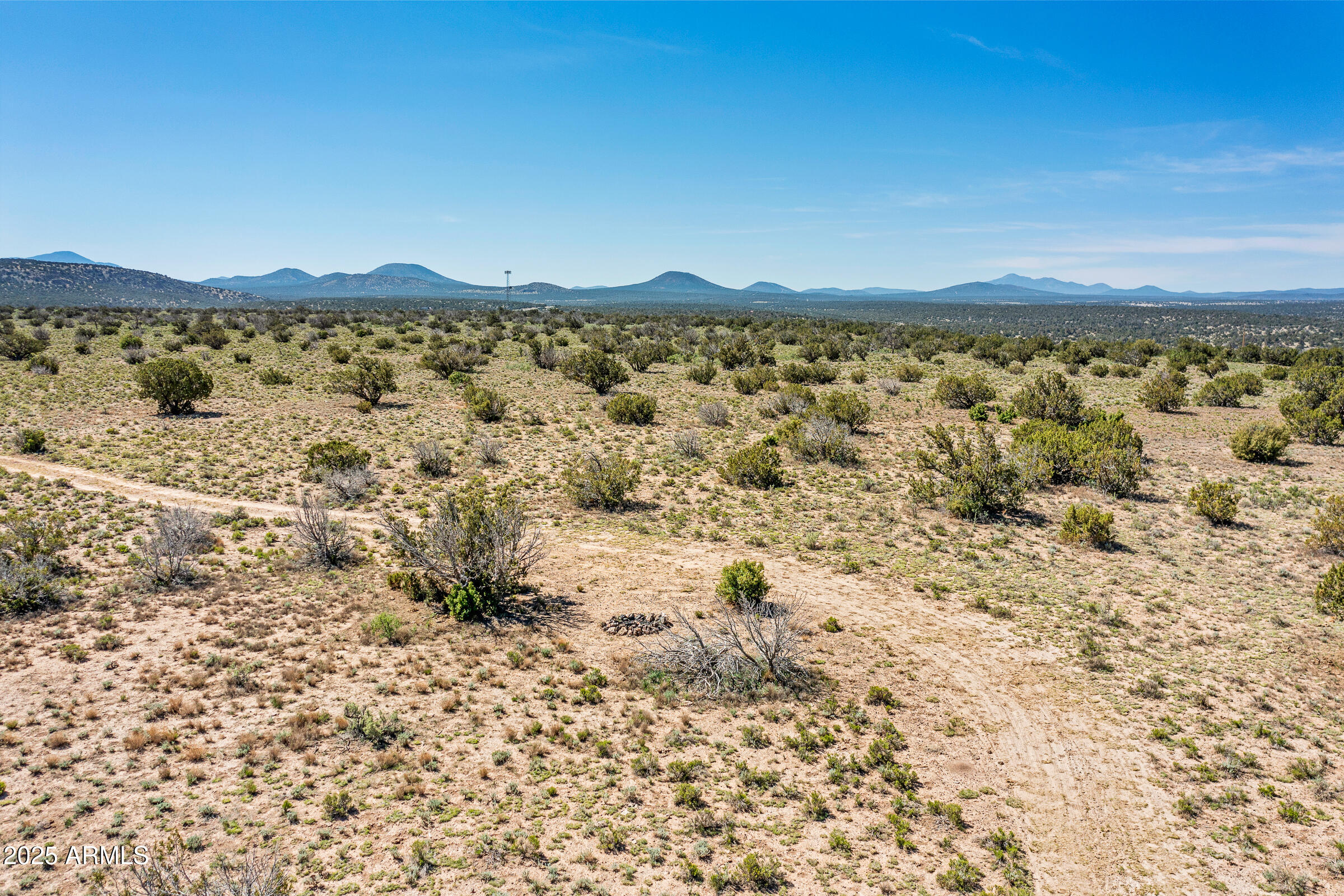 2684 W CRITTER PASS 9