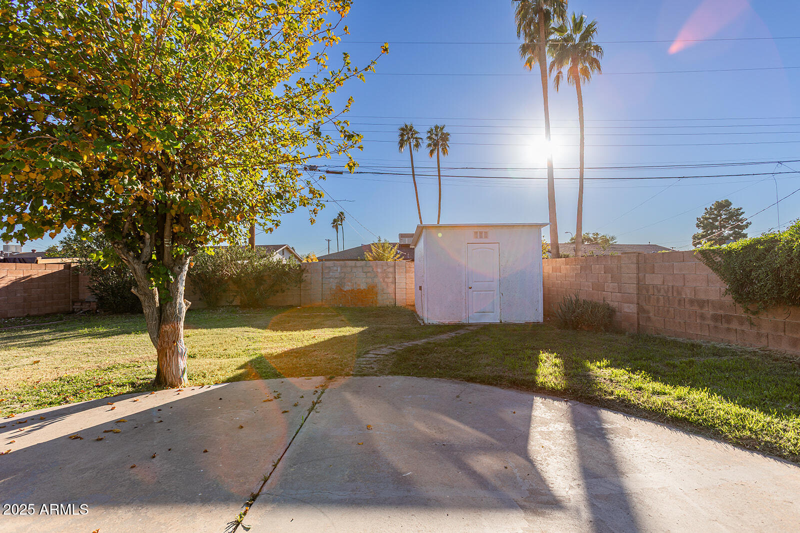 2033 W PALO VERDE Drive