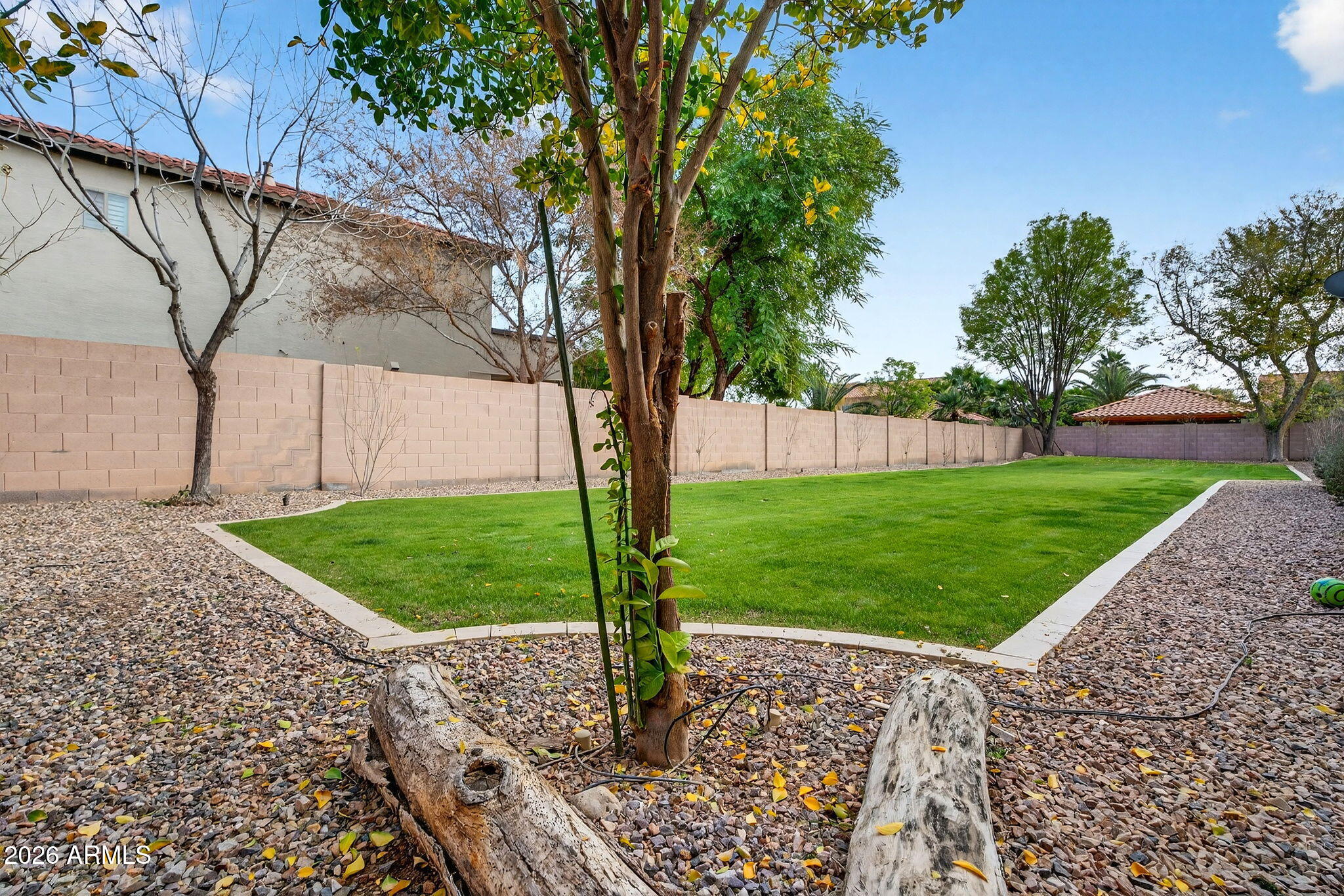 11635 E BELLFLOWER Drive