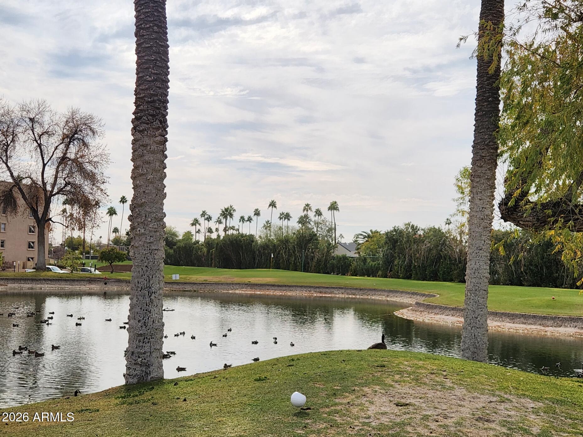7960 E CAMELBACK Road 407
