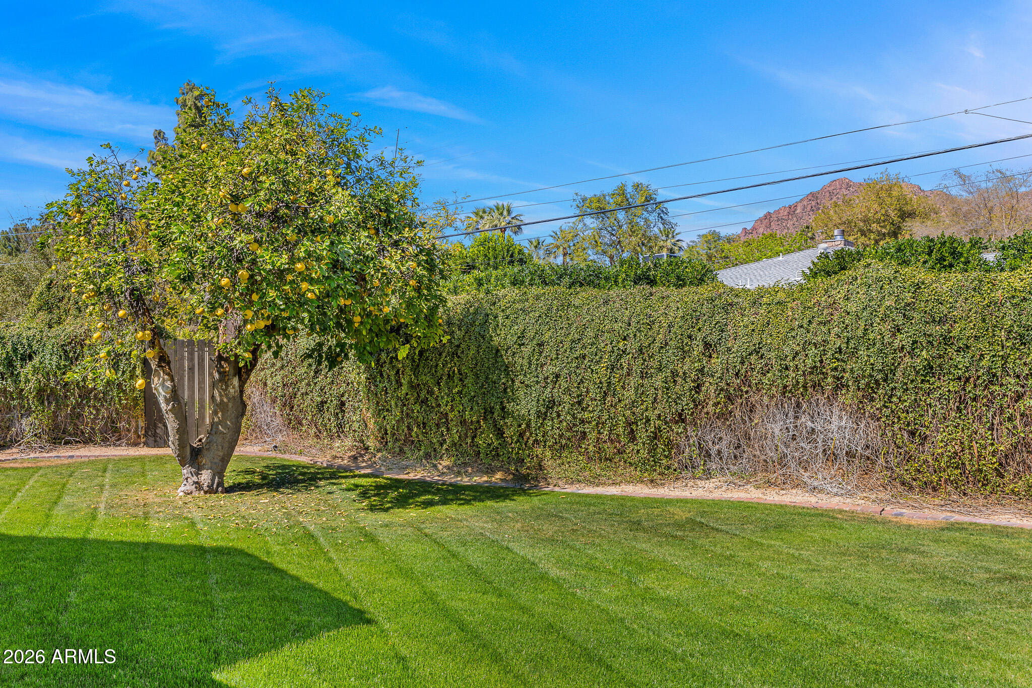 6022 E CALLE ROSA