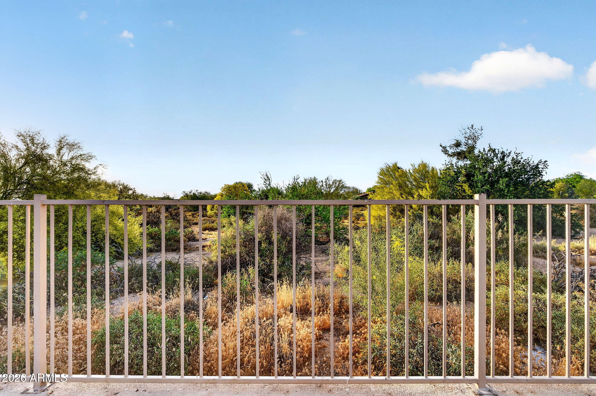 7474 E CHRISTMAS CHOLLA Drive