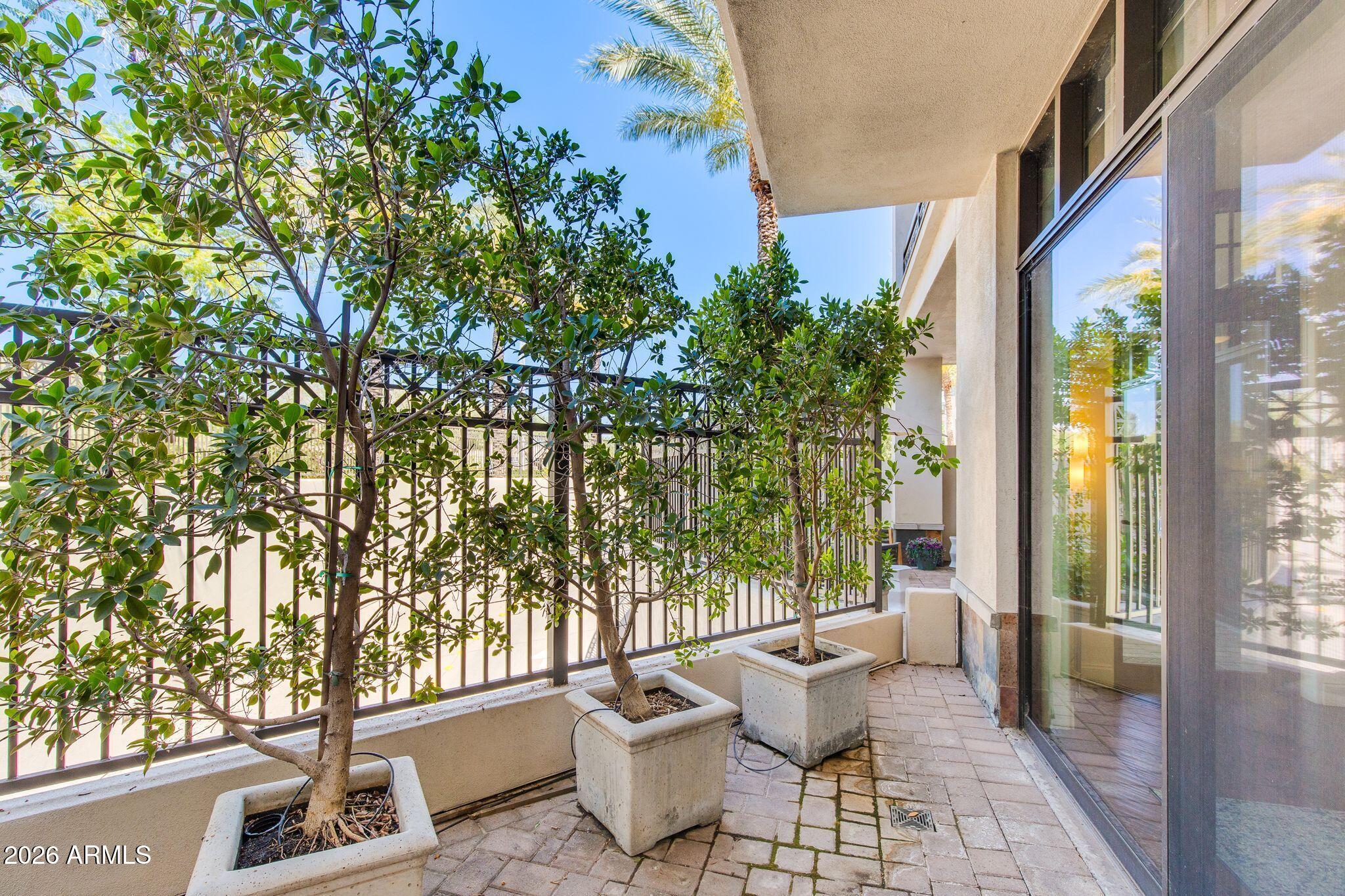 8 E BILTMORE Estate 114