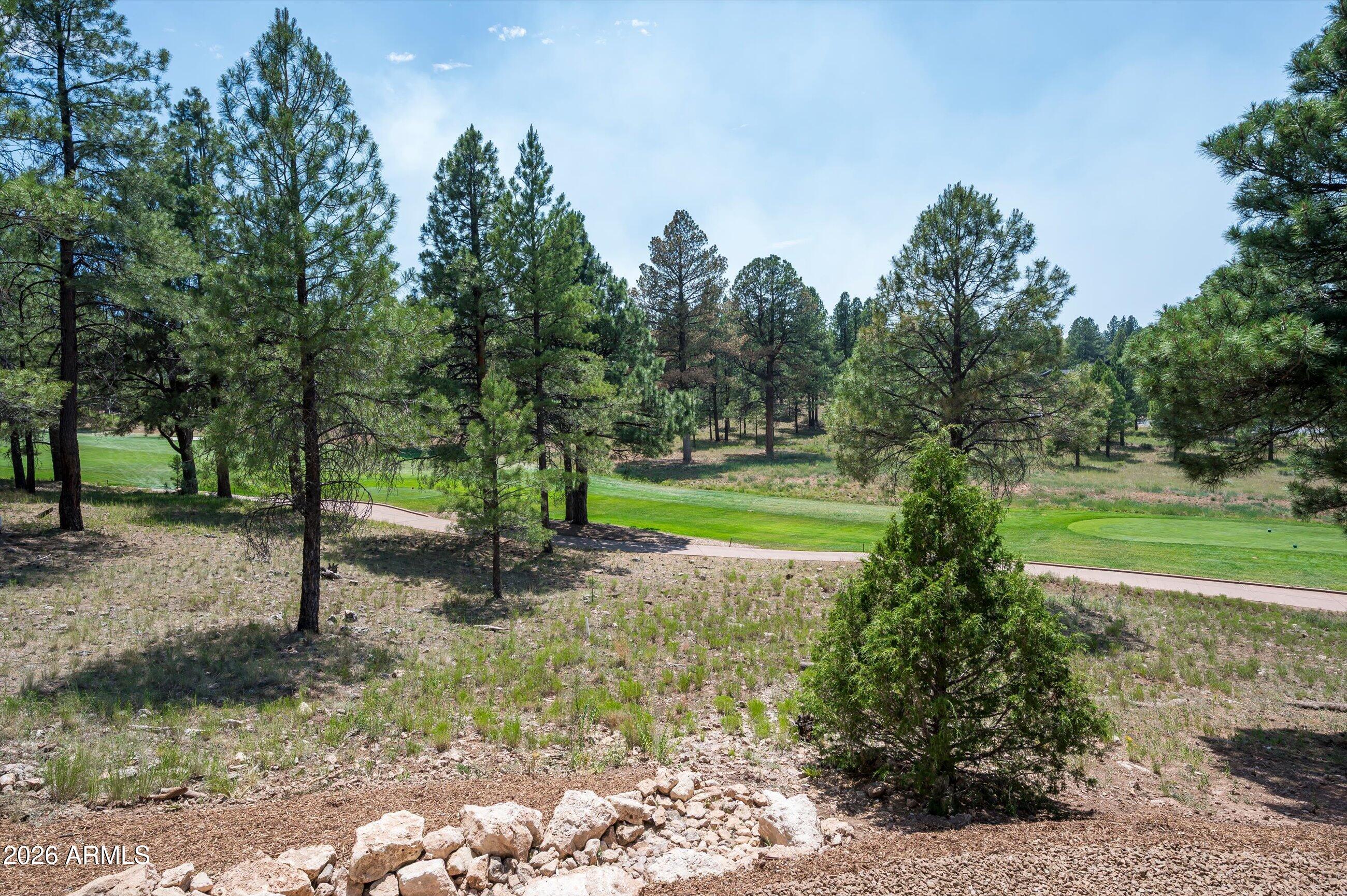 2911 S SOLITAIRES CANYON Drive