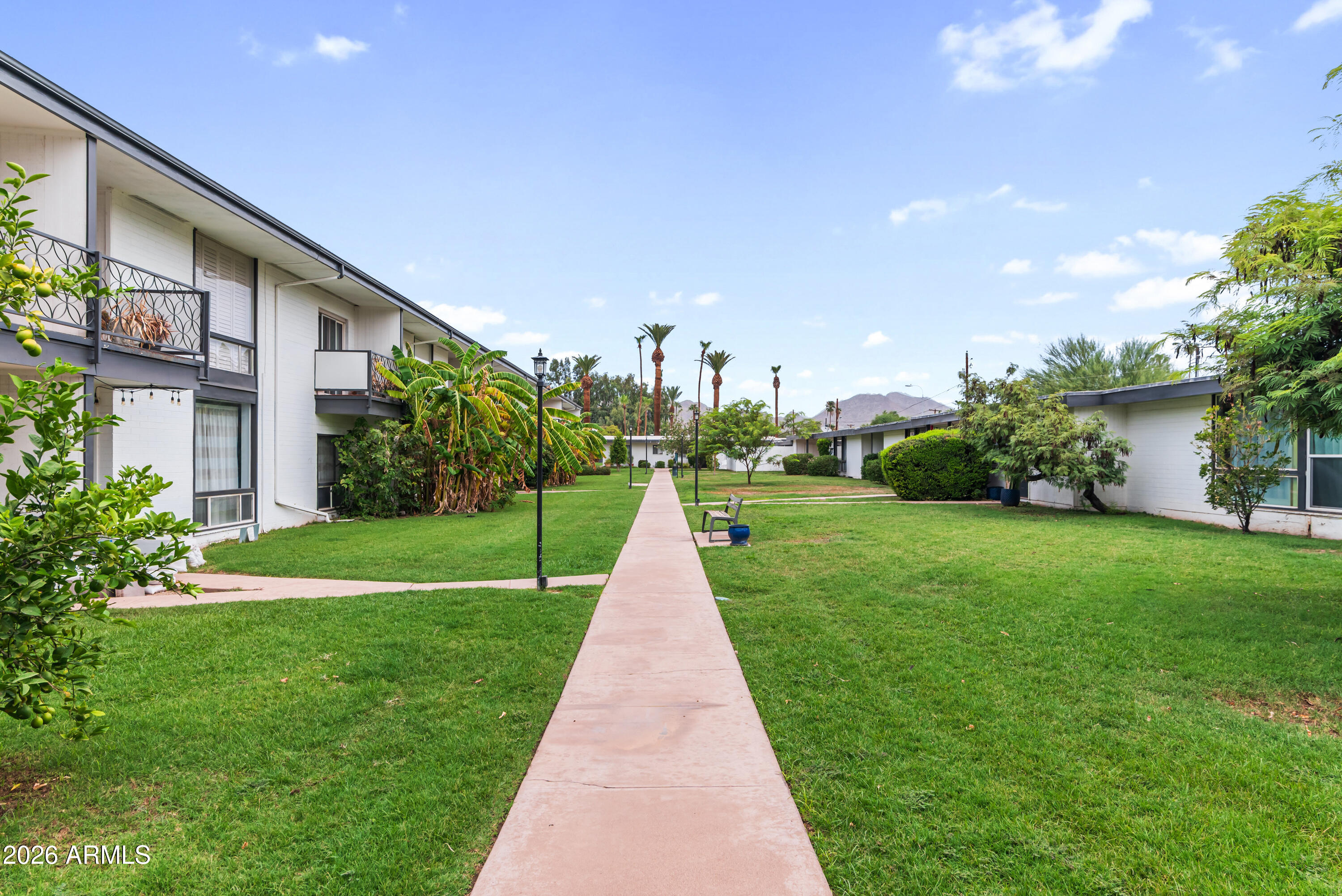 3242 E CAMELBACK Road 204