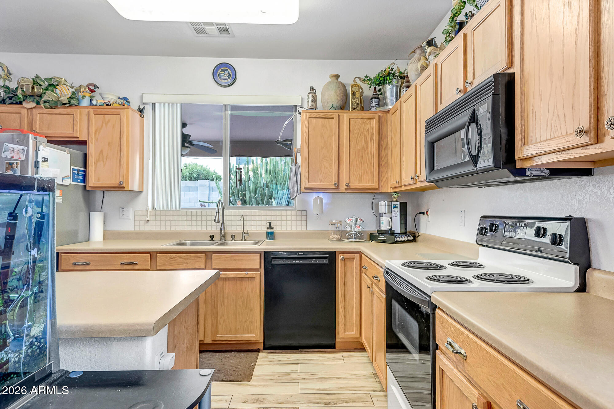 2945 W GOLDMINE MOUNTAIN Drive