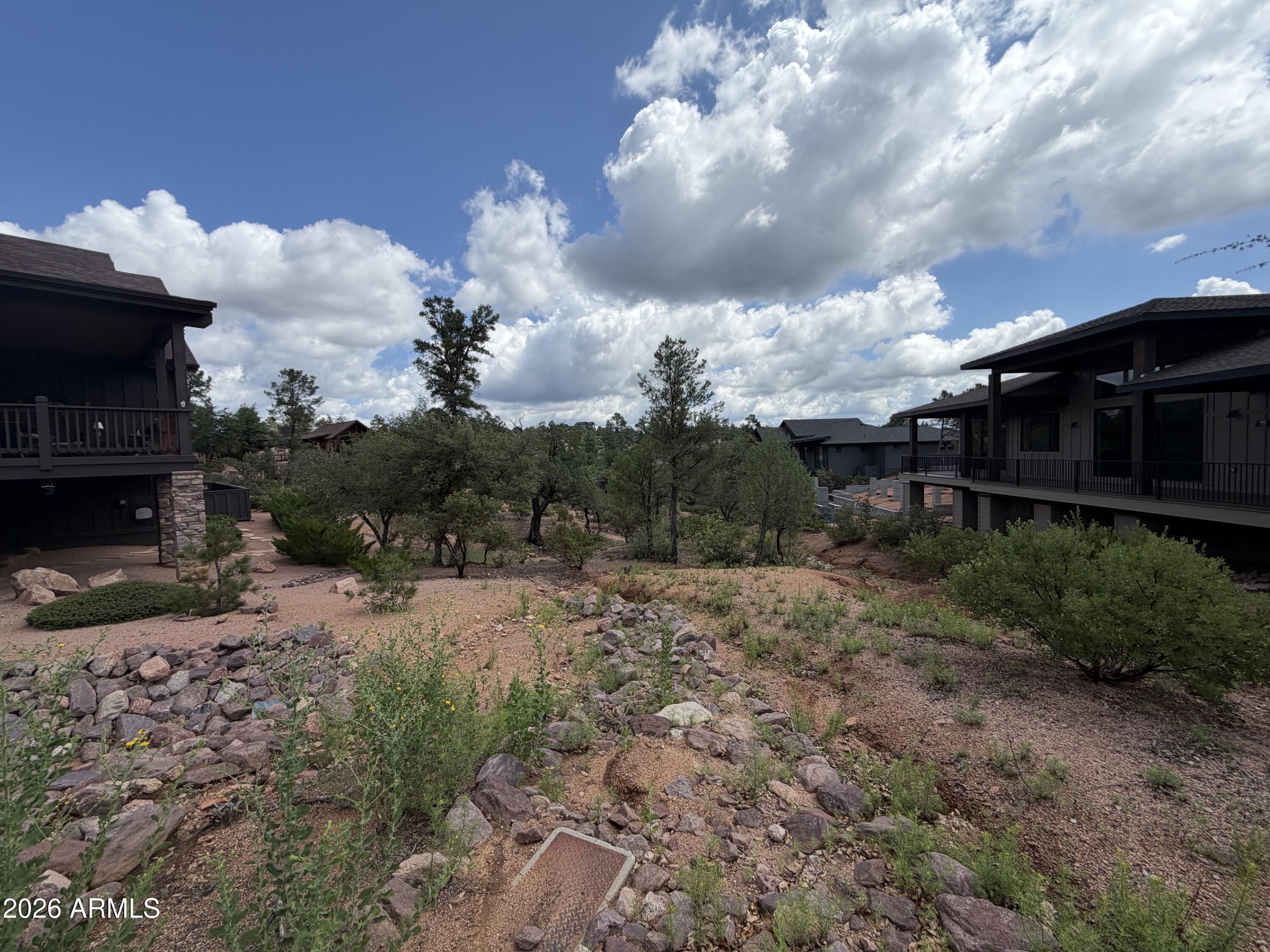 1003 N Purple Aster Court 33