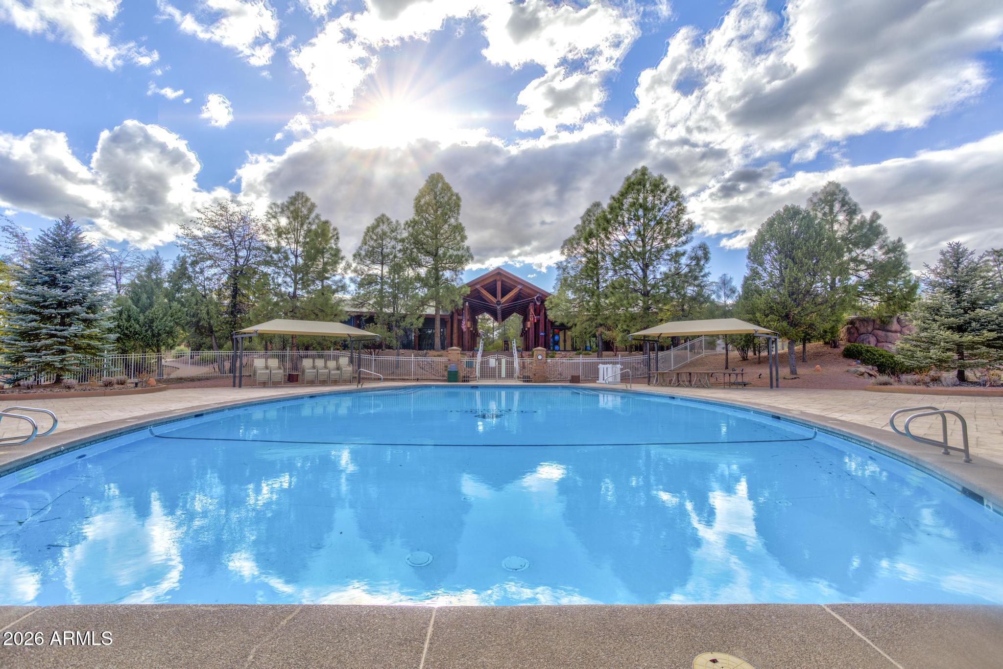 1003 N Purple Aster Court 33