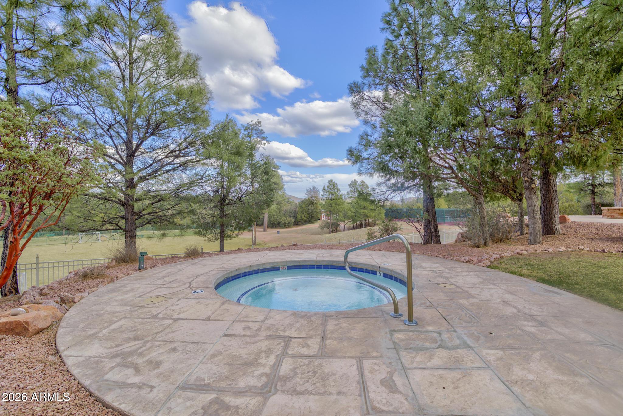 1003 N Purple Aster Court 33