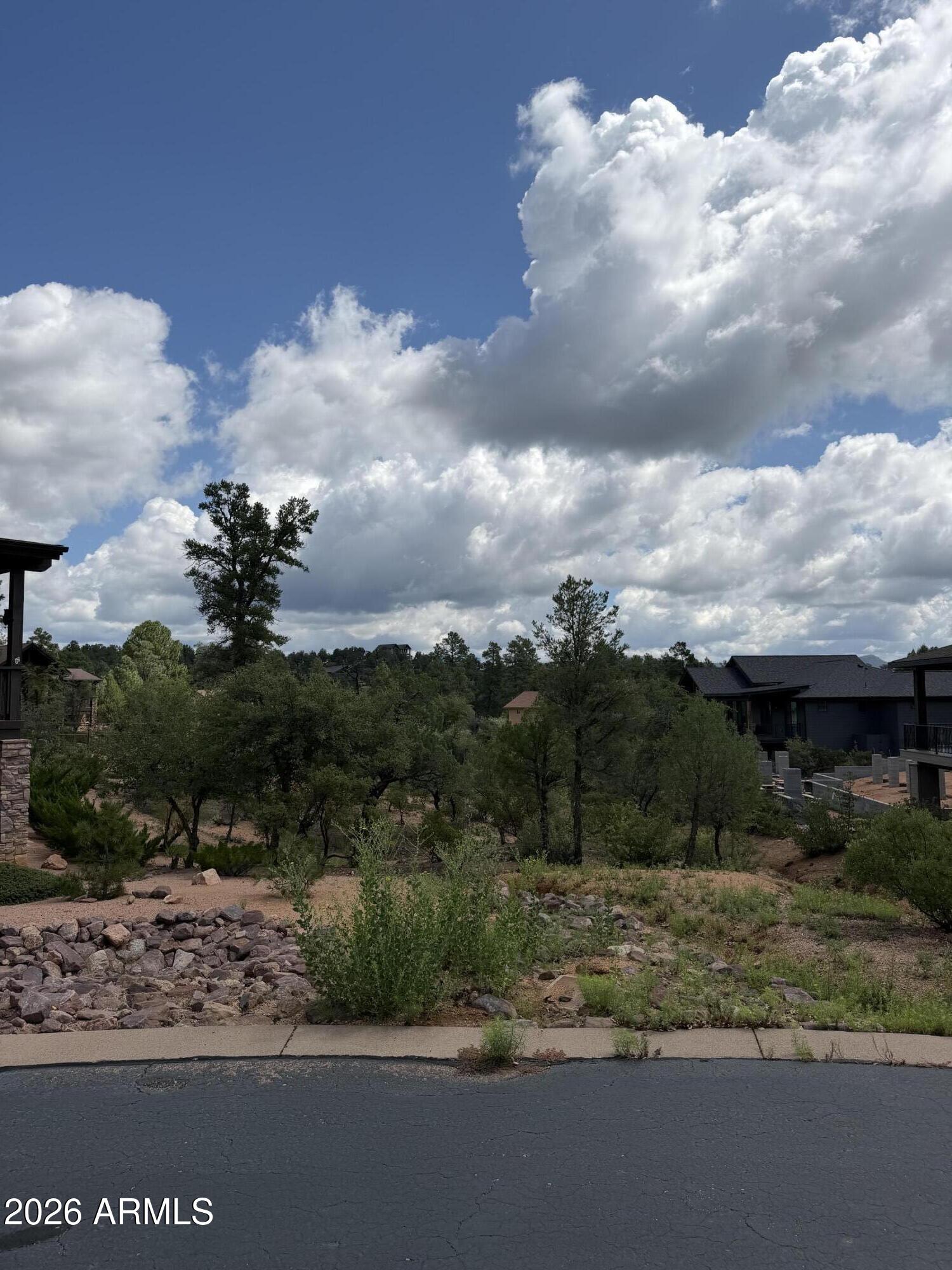 1003 N Purple Aster Court 33