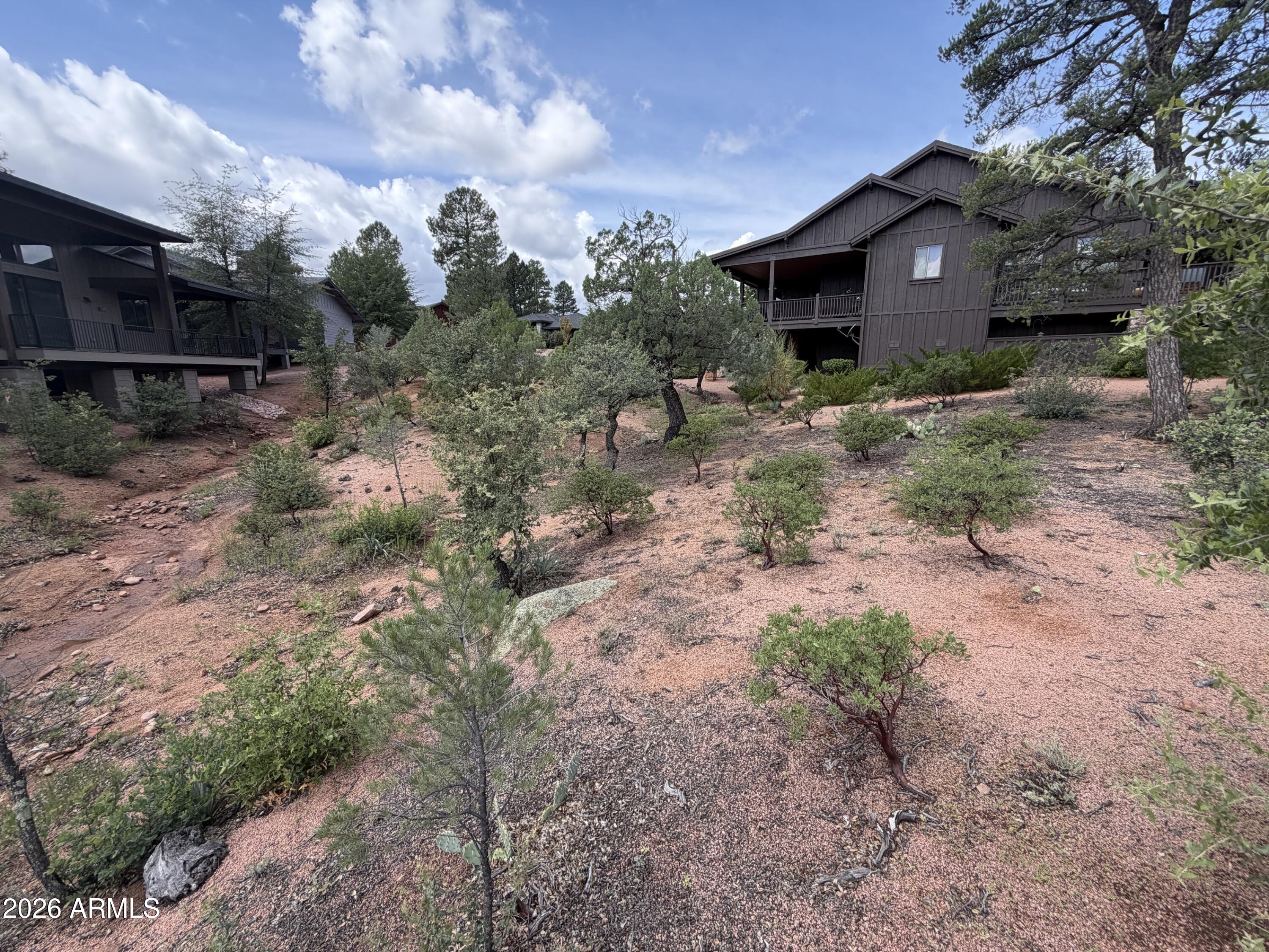 1003 N Purple Aster Court 33