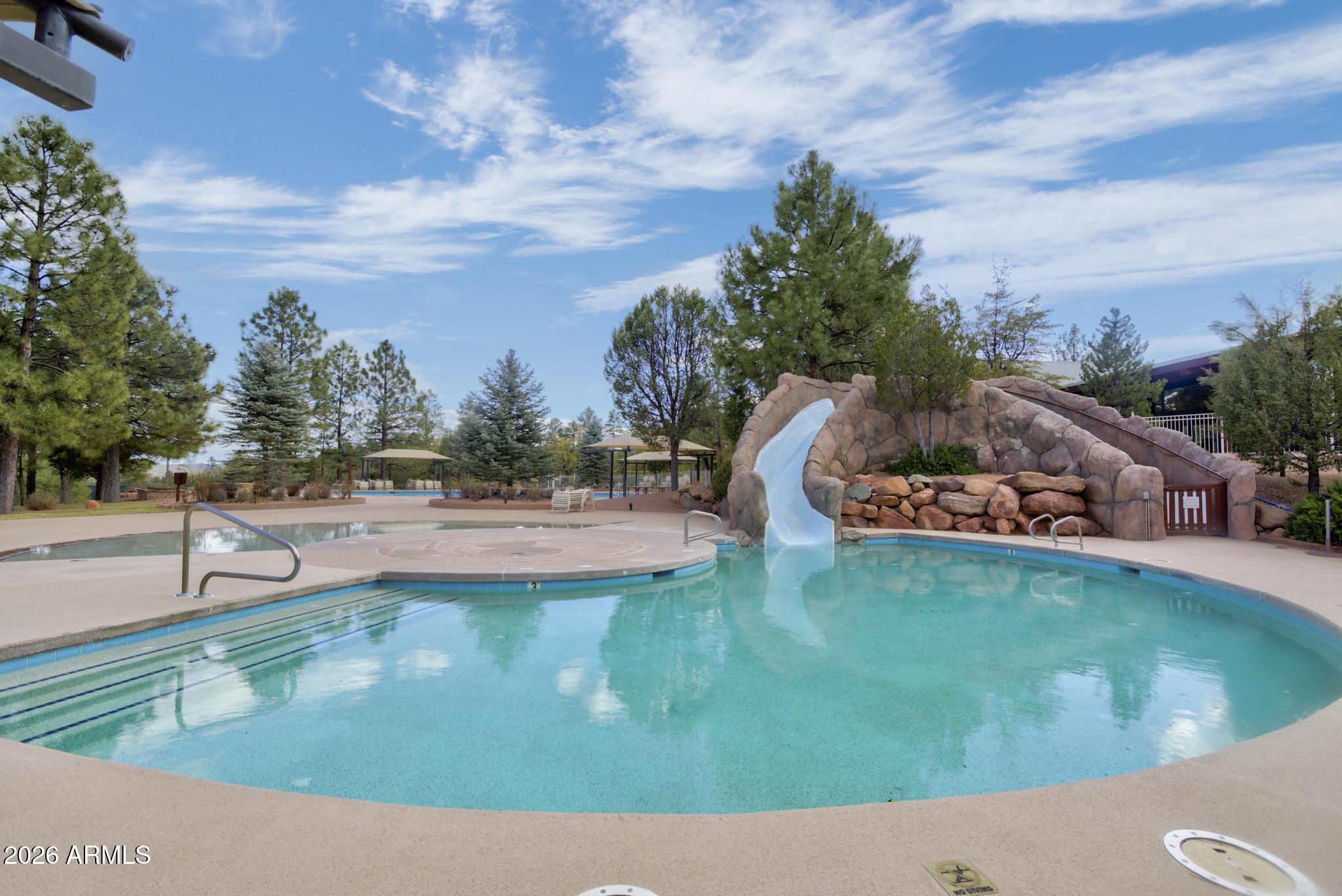 1003 N Purple Aster Court 33