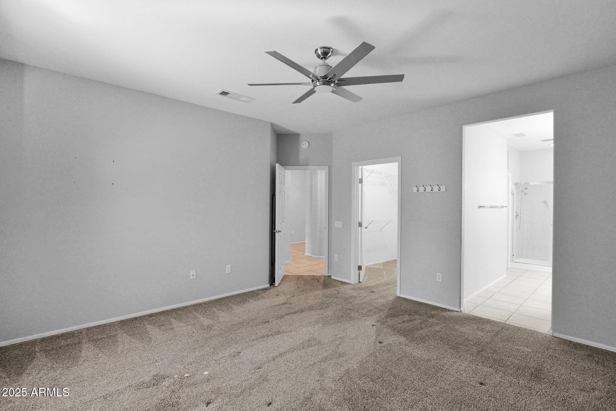 20343 N PAINTED SKY Drive