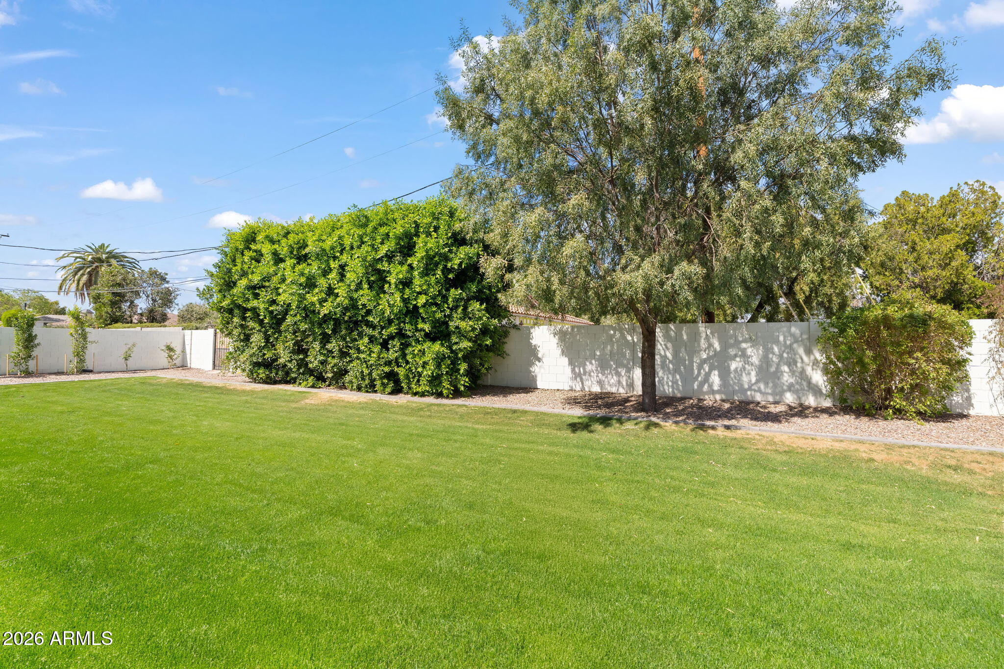 4164 E Camelback Road