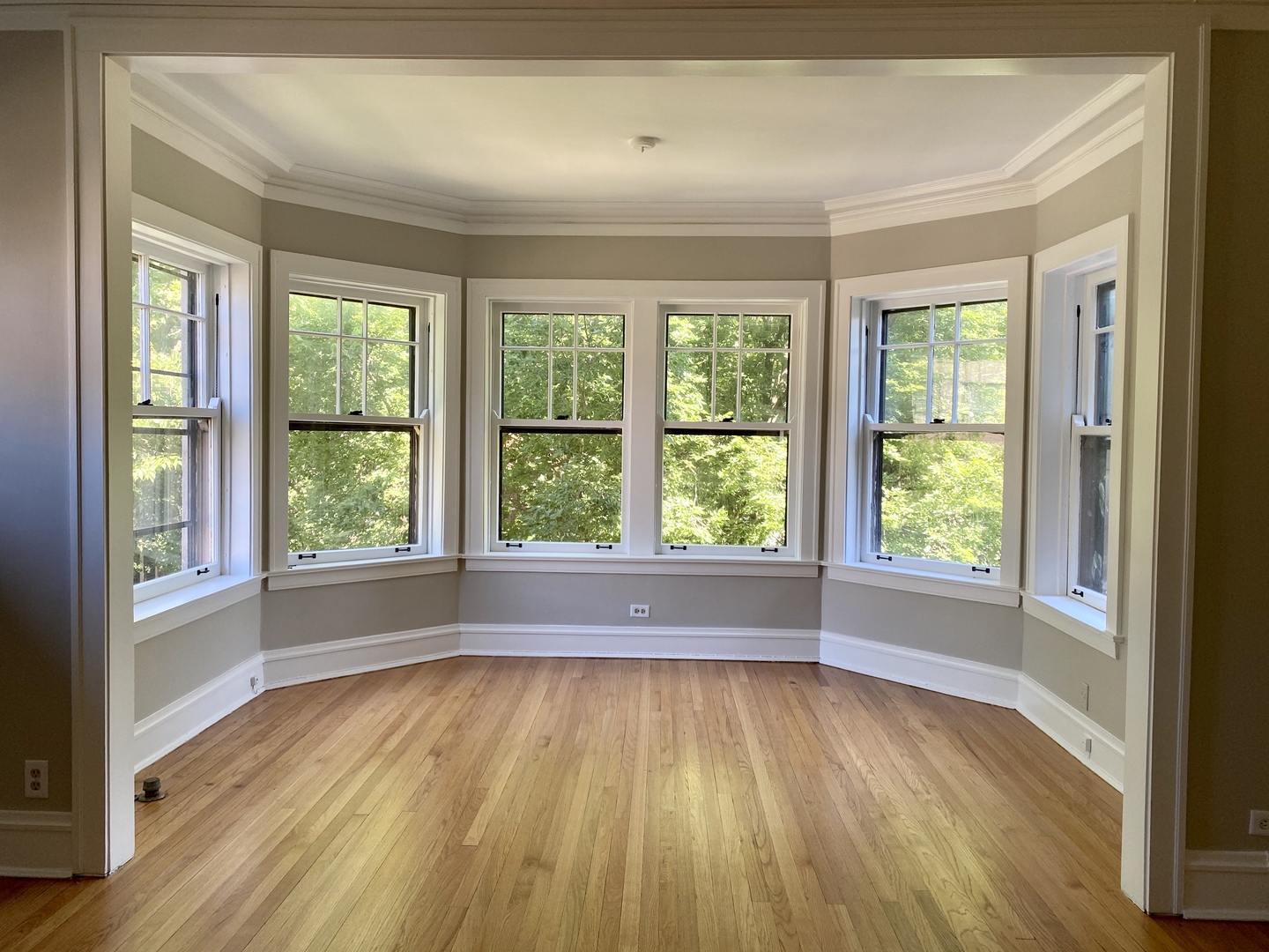 806 Forest Avenue Unit: 3