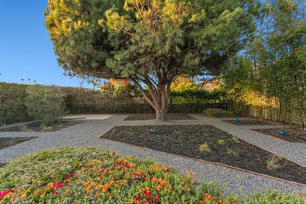 990 Laguna Drive