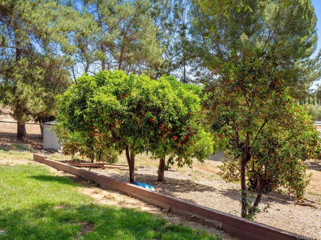 3644 Palomar Drive