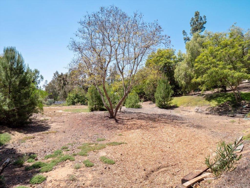 3644 Palomar Drive