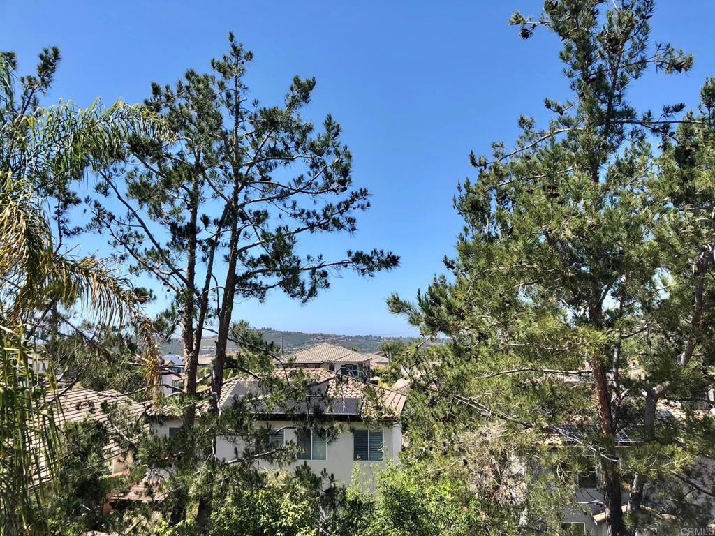 1546 Black Walnut Drive