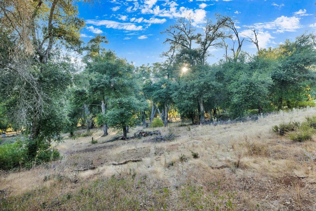 1077 W INCENSE CEDAR Road