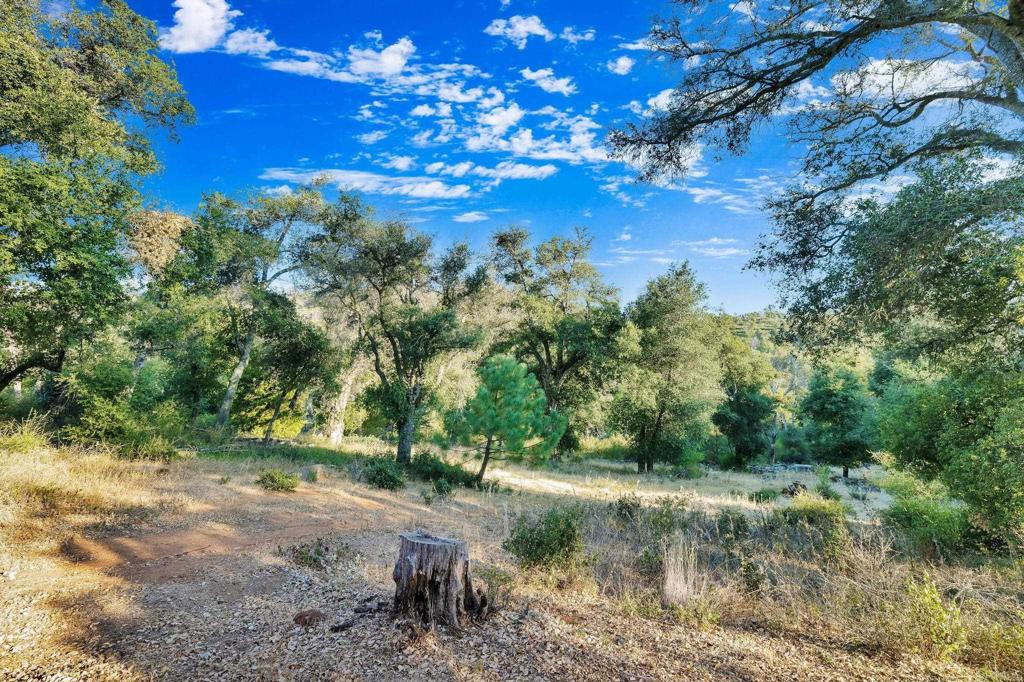 1077 W INCENSE CEDAR Road