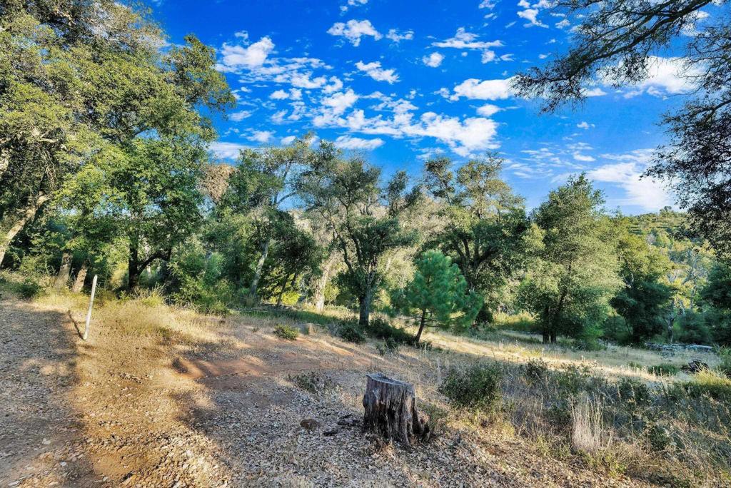 1077 W INCENSE CEDAR Road