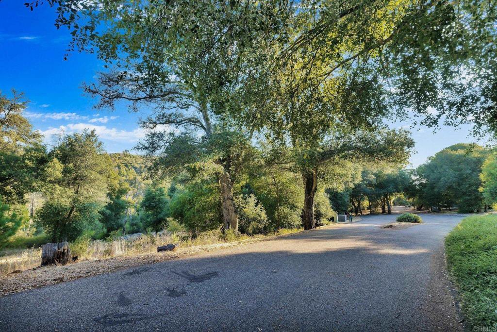 1077 W INCENSE CEDAR Road