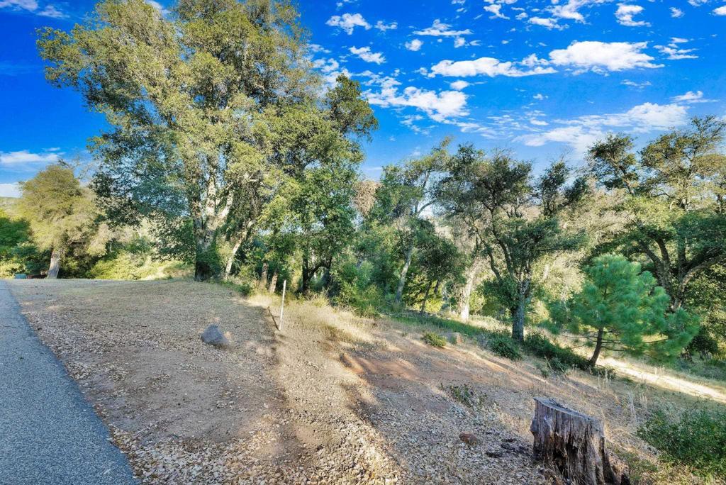 1077 W INCENSE CEDAR Road