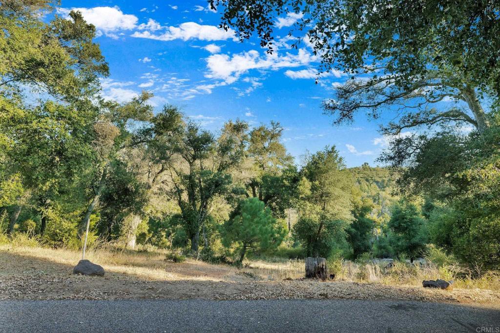 1077 W INCENSE CEDAR Road