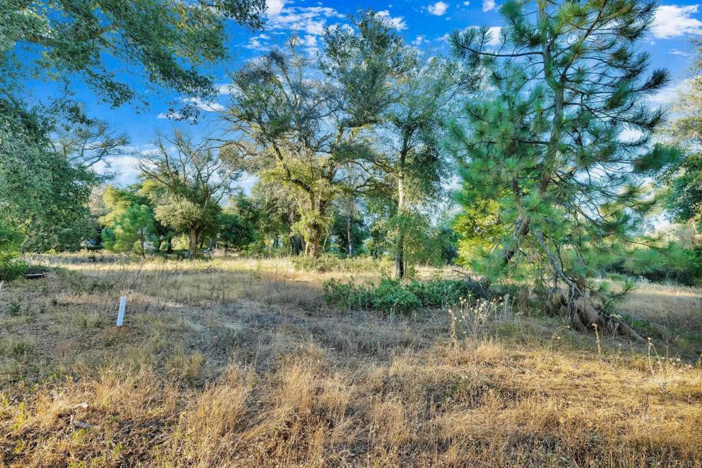 1077 W INCENSE CEDAR Road