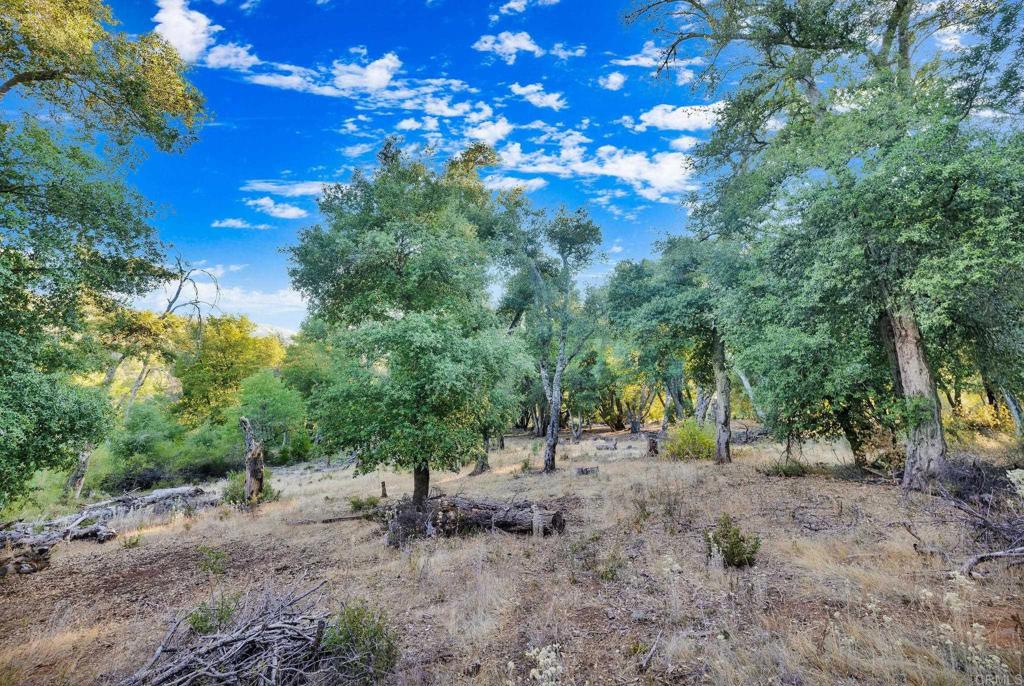 1077 W INCENSE CEDAR Road