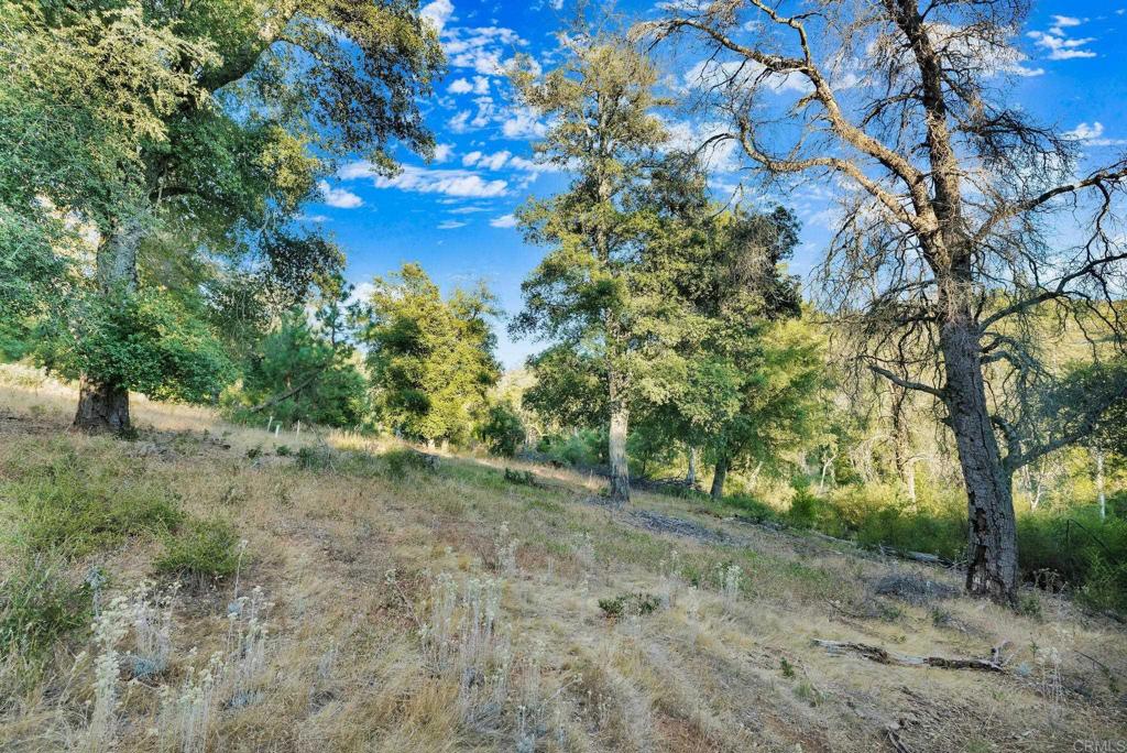 1077 W INCENSE CEDAR Road