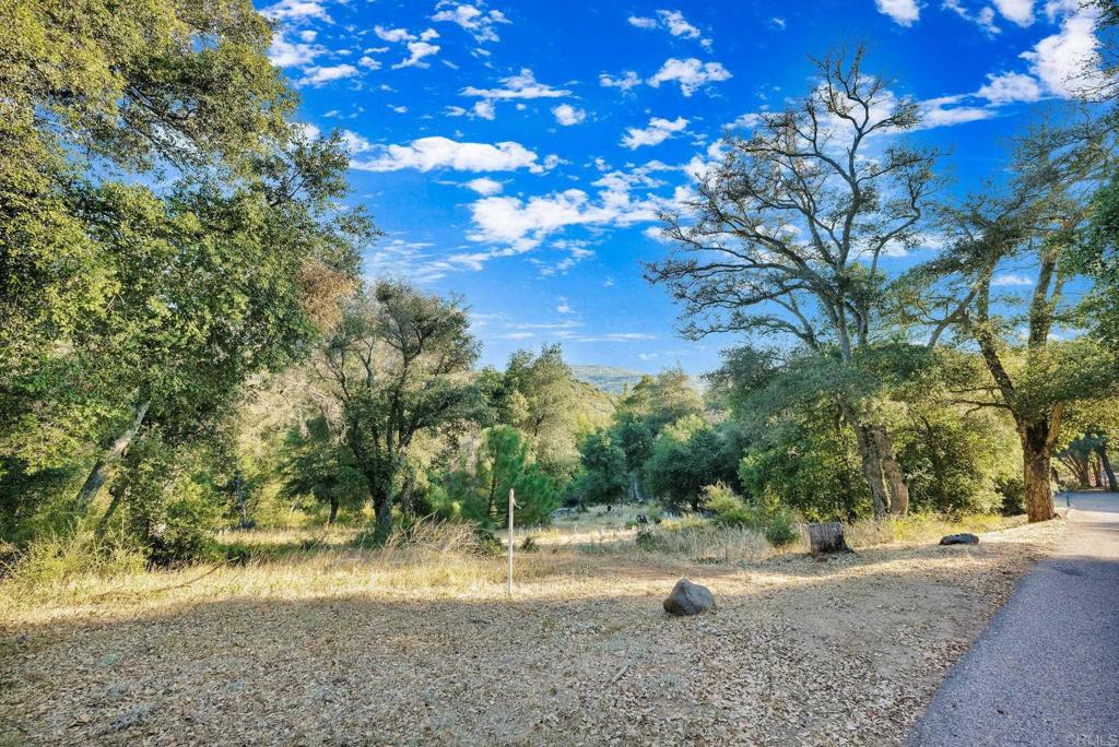 1077 W INCENSE CEDAR Road